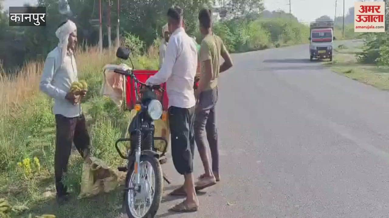 Bhitargaon-Ghatampur Road: Neither indicator nor breaker at turn of Chanja village, vehicle fell into ditch