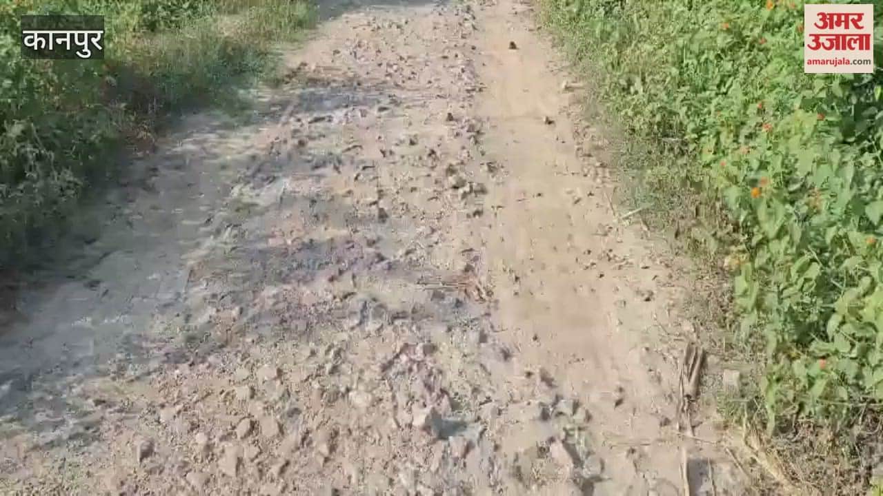 15-year-old road has lost its gravel and asphalt, making it difficult to walk