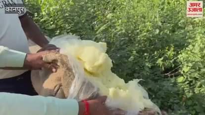 Food Department Destroys Adulterated Food Items Worth 3.18 Lakhs