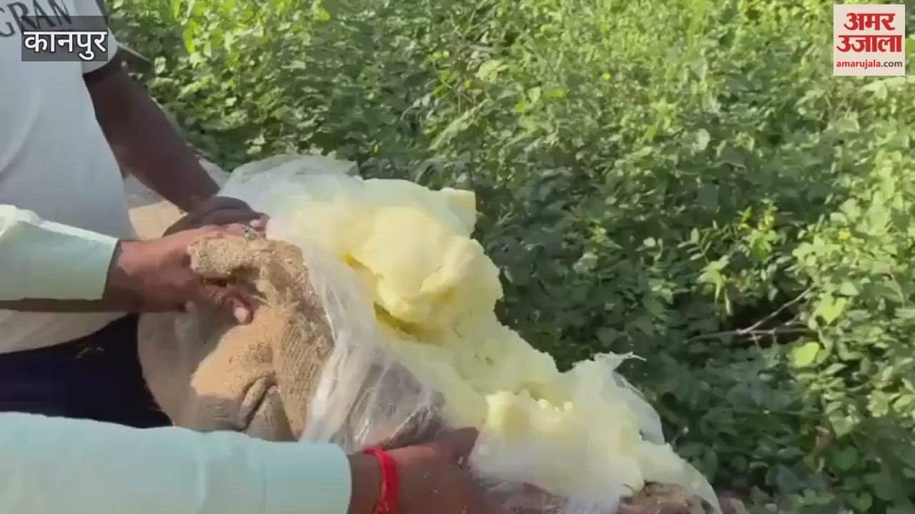 Food Department Destroys Adulterated Food Items Worth 3.18 Lakhs