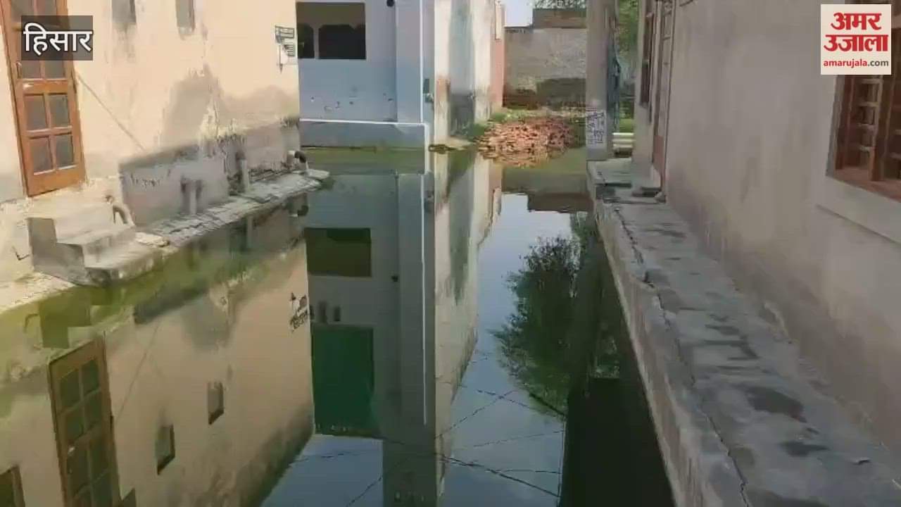 Sewerage has become a major problem for the residents of Hisar, the hometown of Haryana's Public Health Minister
