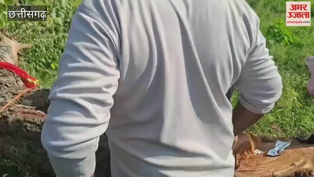 Video: 25 साल पुराने वृक्ष कटने पर 90 वर्षीय देवला बाई फूट-फूट कर रो पड़ीं