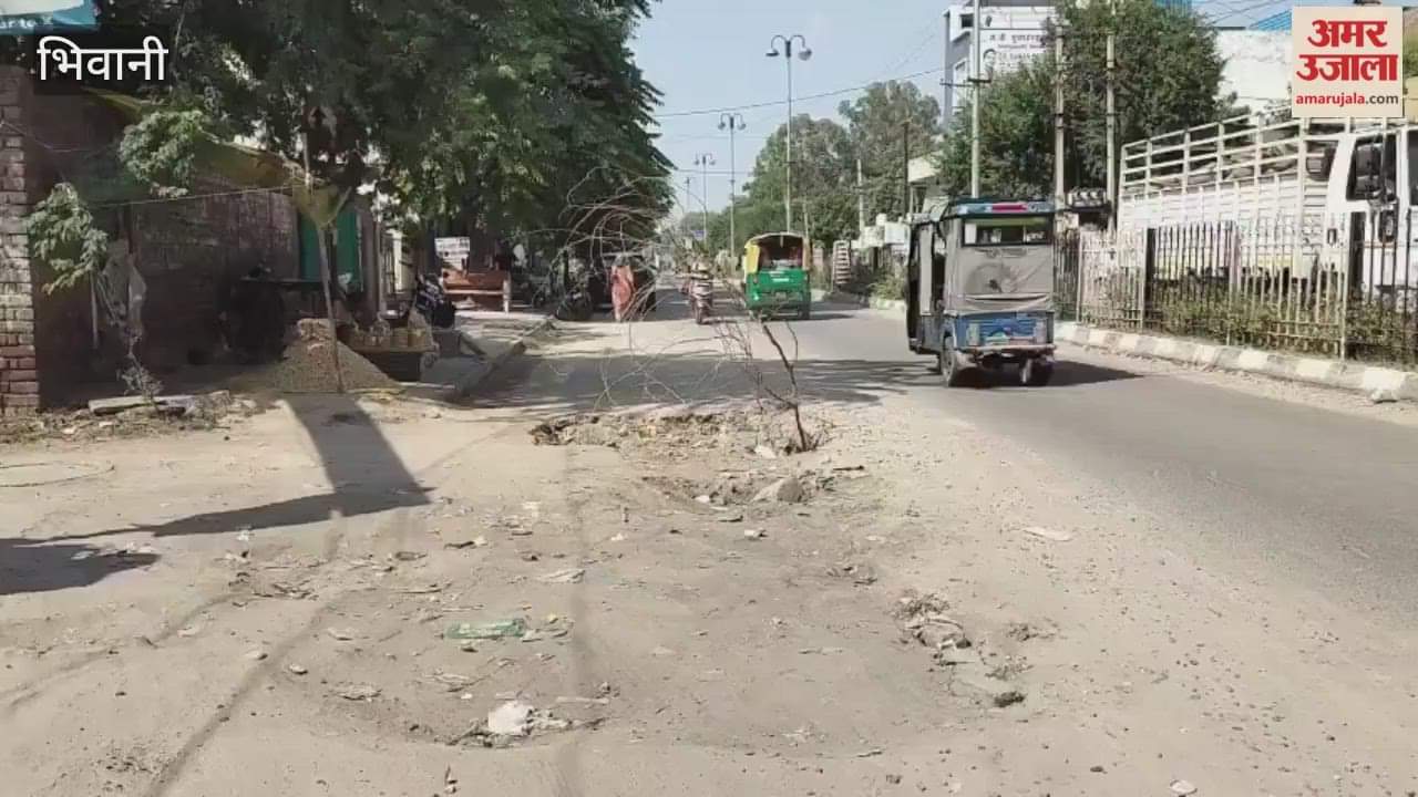 A leakage has damaged a road in Bhiwani; bushes have been planted to prevent accidents.