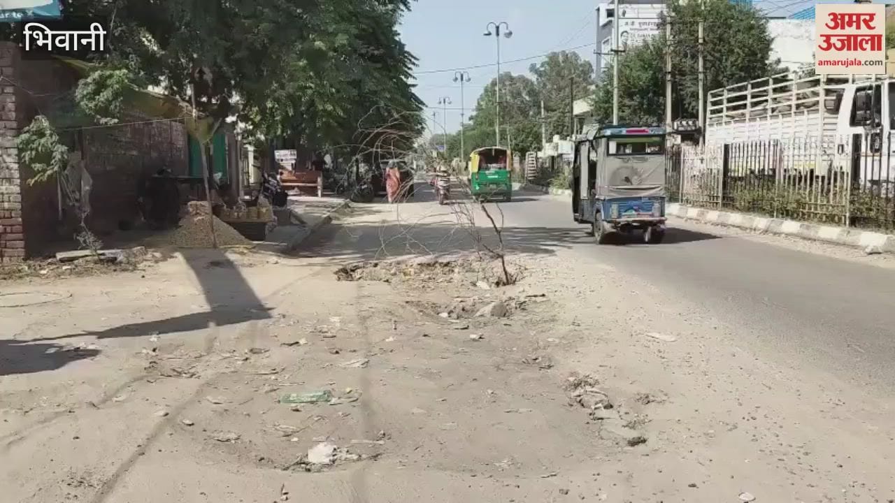 A leakage has damaged a road in Bhiwani; bushes have been planted to prevent accidents.