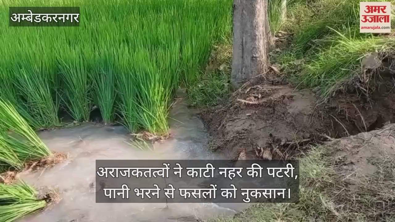 अंबेडकरनगर में अराजकतत्वों ने काटी नहर की पटरी, पानी भरने से फसलों को नुकसान