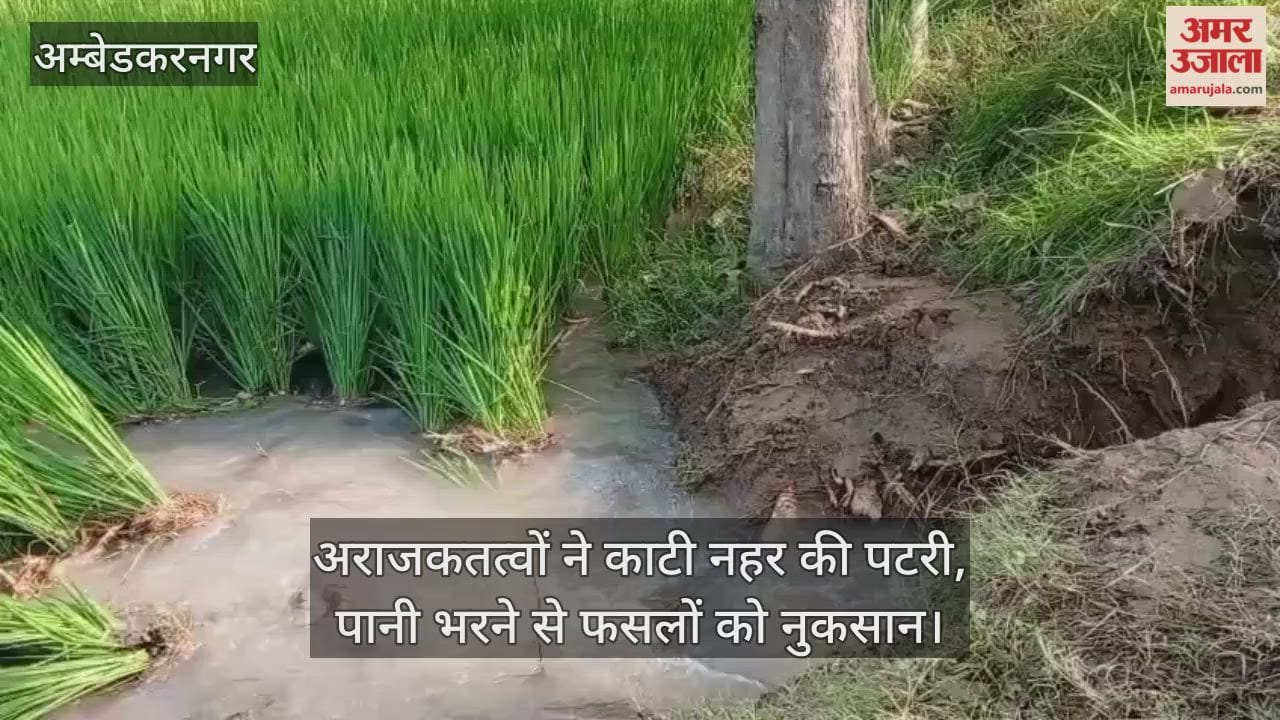 अंबेडकरनगर में अराजकतत्वों ने काटी नहर की पटरी, पानी भरने से फसलों को नुकसान