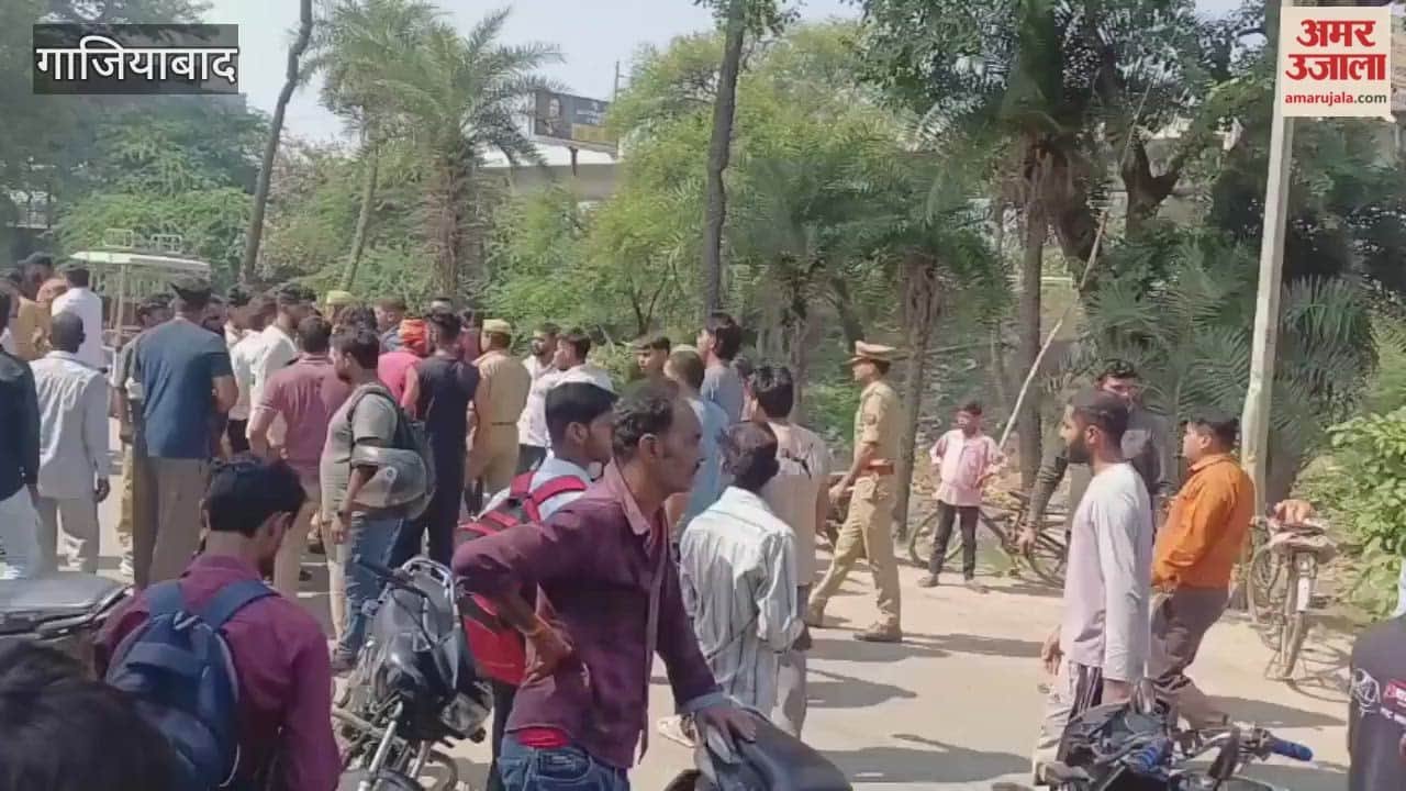 Muradnagar Remains of 8-10 Cows Found in Jalalabad Village