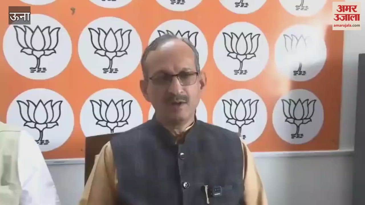 Una Satti said the mafia is flourishing under the protection of the current government