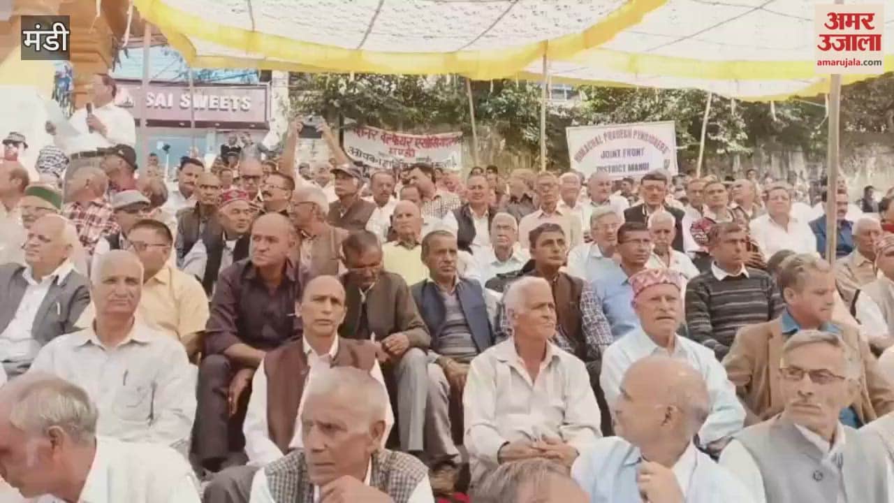 Mandi Pensioners held a rally and protested against the government demanding timely payment of pension and DA arrears