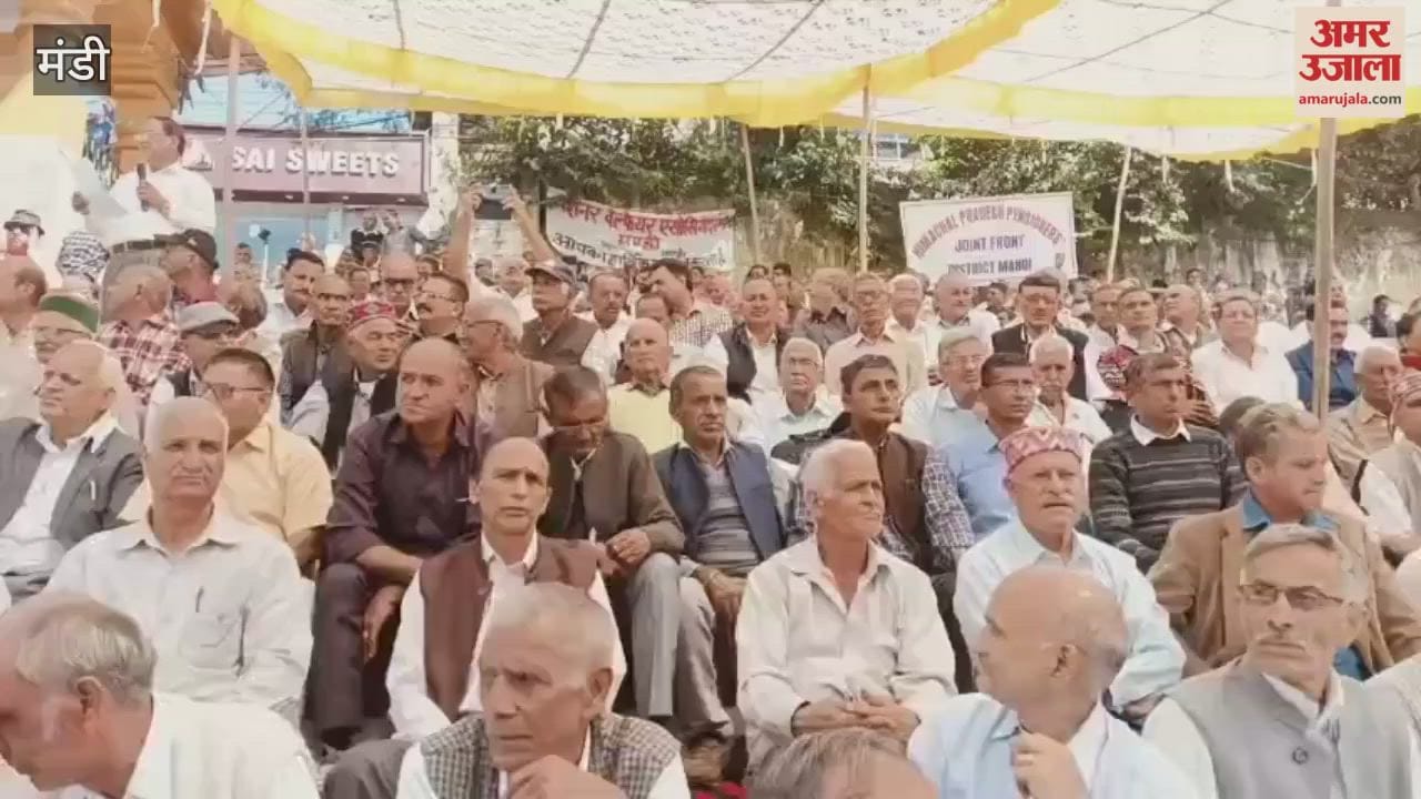 Mandi Pensioners held a rally and protested against the government demanding timely payment of pension and DA arrears