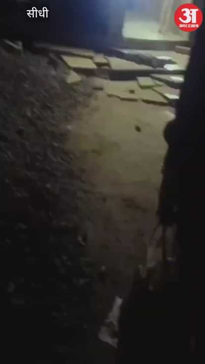 A crocodile reaches the doorstep, villagers chase it away with sticks