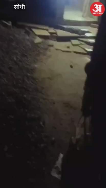 A crocodile reaches the doorstep, villagers chase it away with sticks