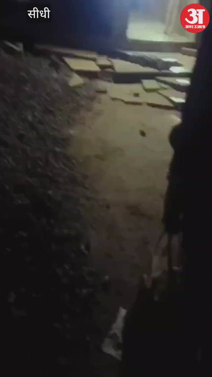 A crocodile reaches the doorstep, villagers chase it away with sticks