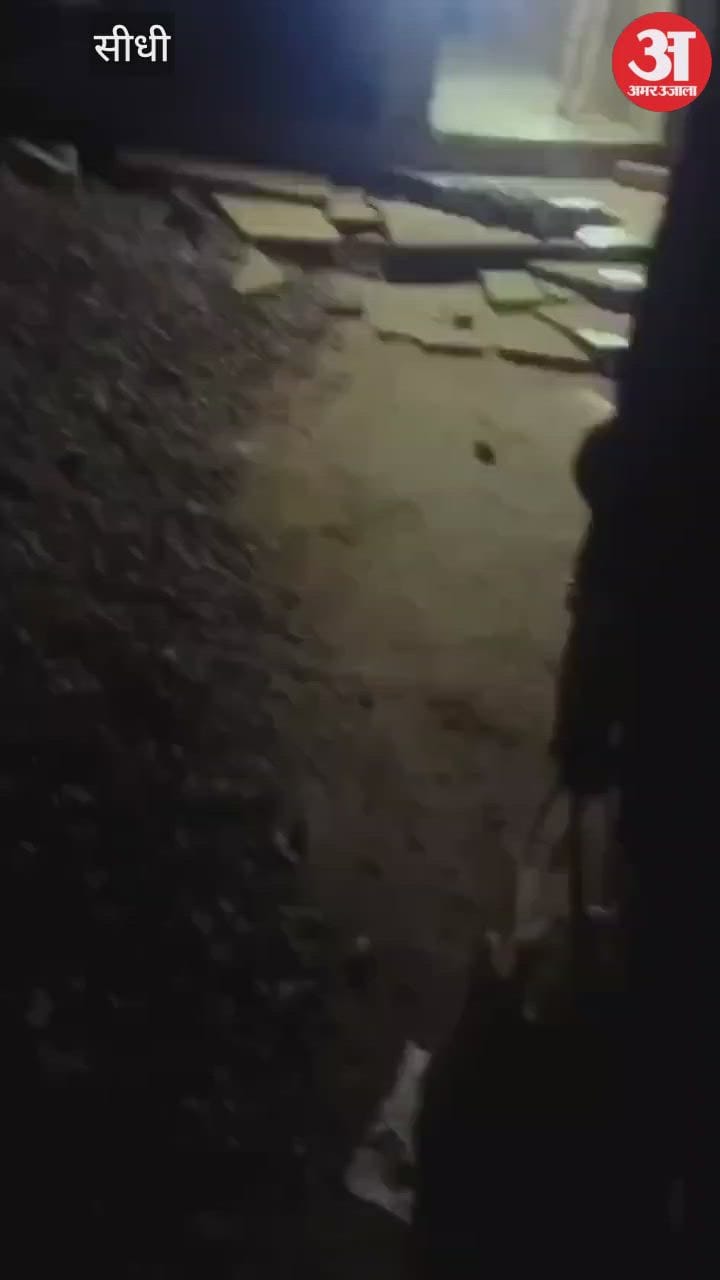 A crocodile reaches the doorstep, villagers chase it away with sticks