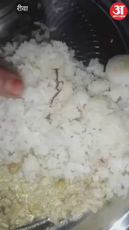 Worms found in food at Rewa Girls' Hostel again, administration says action will be taken against the culprits