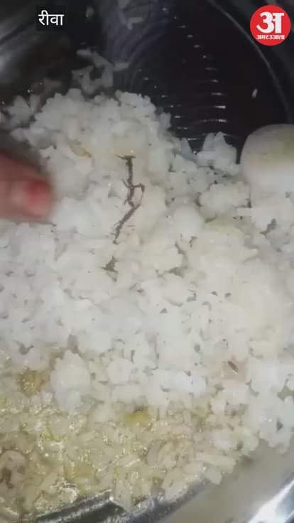 Worms found in food at Rewa Girls' Hostel again, administration says action will be taken against the culprits