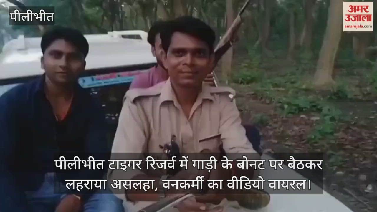 Sitting on the bonnet of a car, he waved his weapon in Pilibhit Tiger Reserve