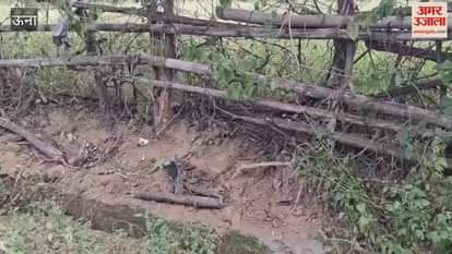 Una A car lost control and overturned on the roadside at Lamba Sail on the Amb-Nadaun road