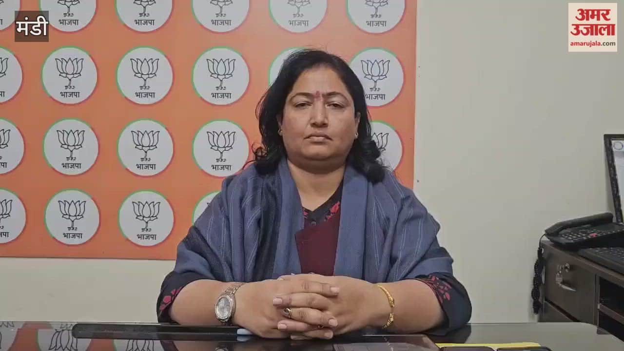 Mandi Payal Vaidya said the Congress high command now comes to Himachal only for sightseeing