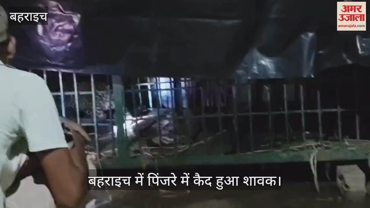 Video : बहराइच में पिंजरे में कैद हुआ शावक