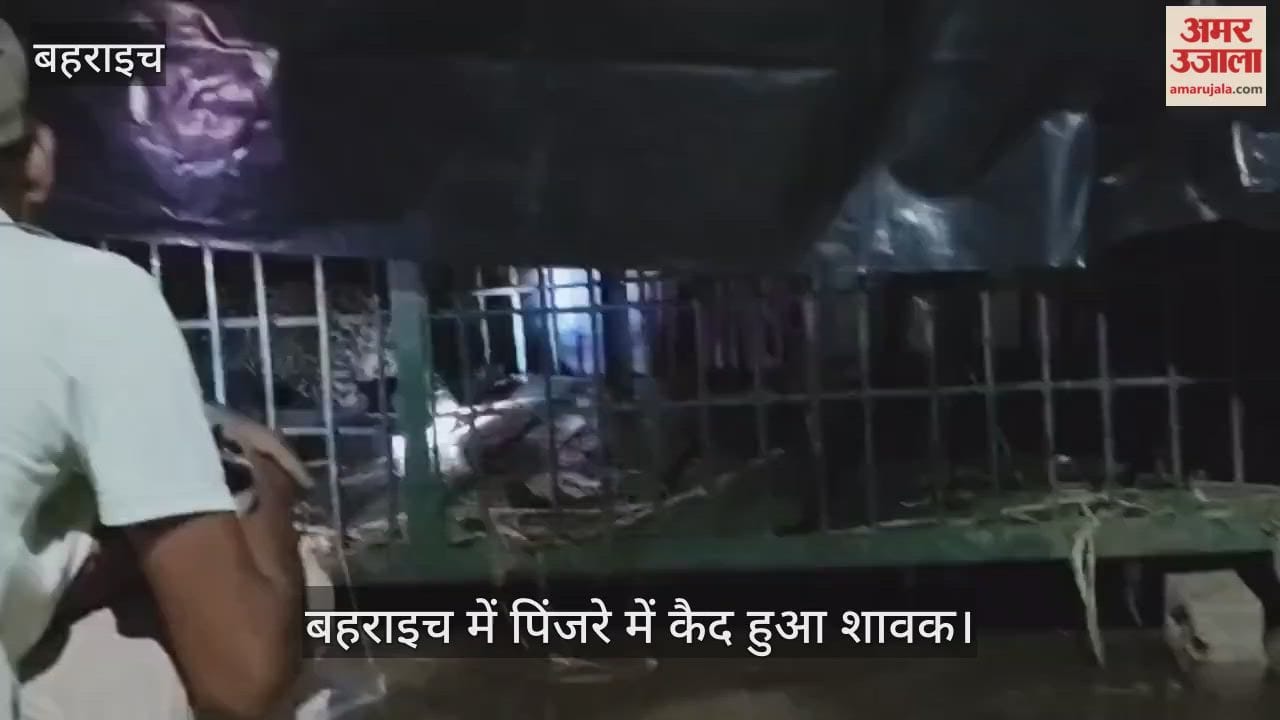 Video : बहराइच में पिंजरे में कैद हुआ शावक
