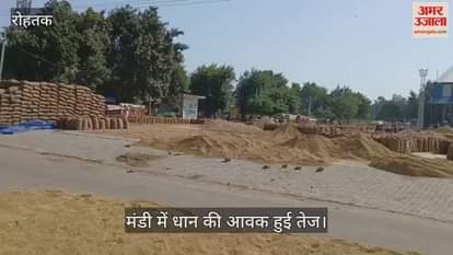 The arrival of paddy in the market increased