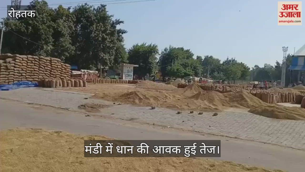 The arrival of paddy in the market increased