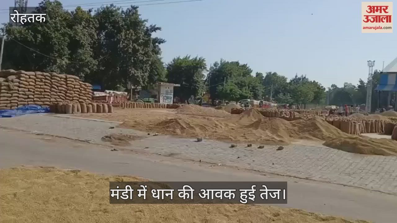 The arrival of paddy in the market increased