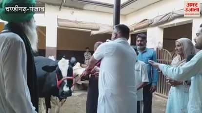 Bharatiya Kisan Union Kadia of Zira donated a cow to a flood-affected family