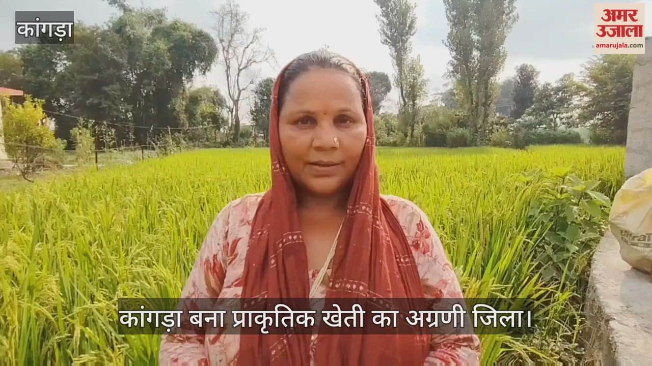 Kangra becomes leading district in natural farming