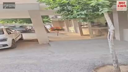 Virat Kohli leaves his home in Gurugram for Australia tour