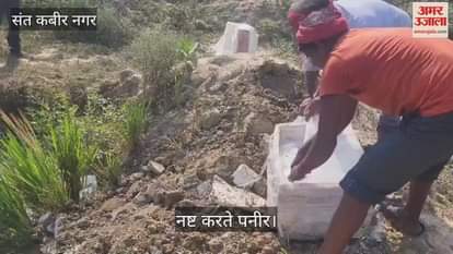Three quintals of spoiled cheese seized from a pickup truck, destroyed by the Food Department