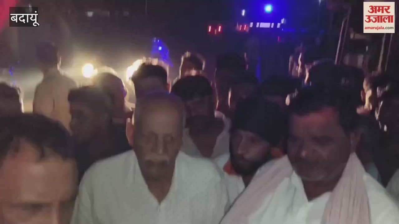 Nine animals died when a truck overturned in budaun