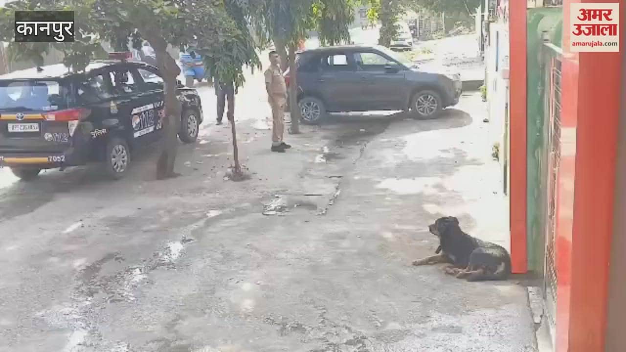 Dog terrorized school; attacked children at school gate, forcing school to be closed