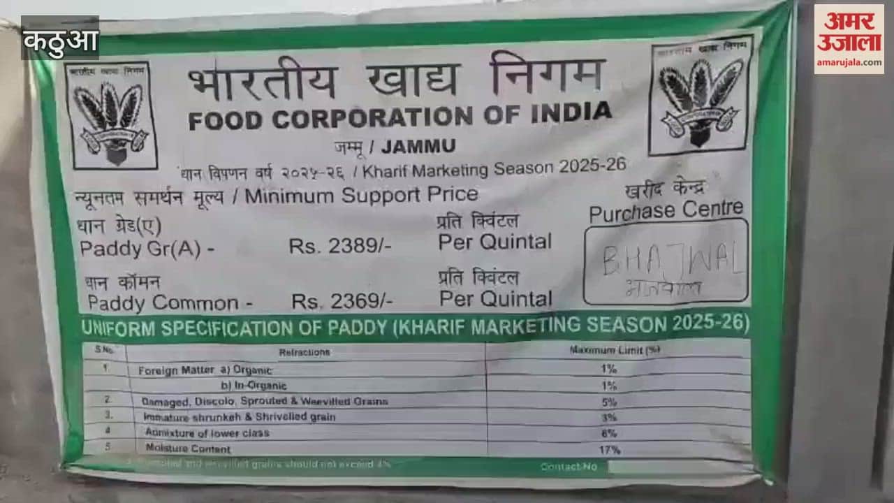 Government paddy procurement begins, farmers show enthusiasm