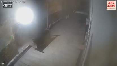 Beating dog to death with stick