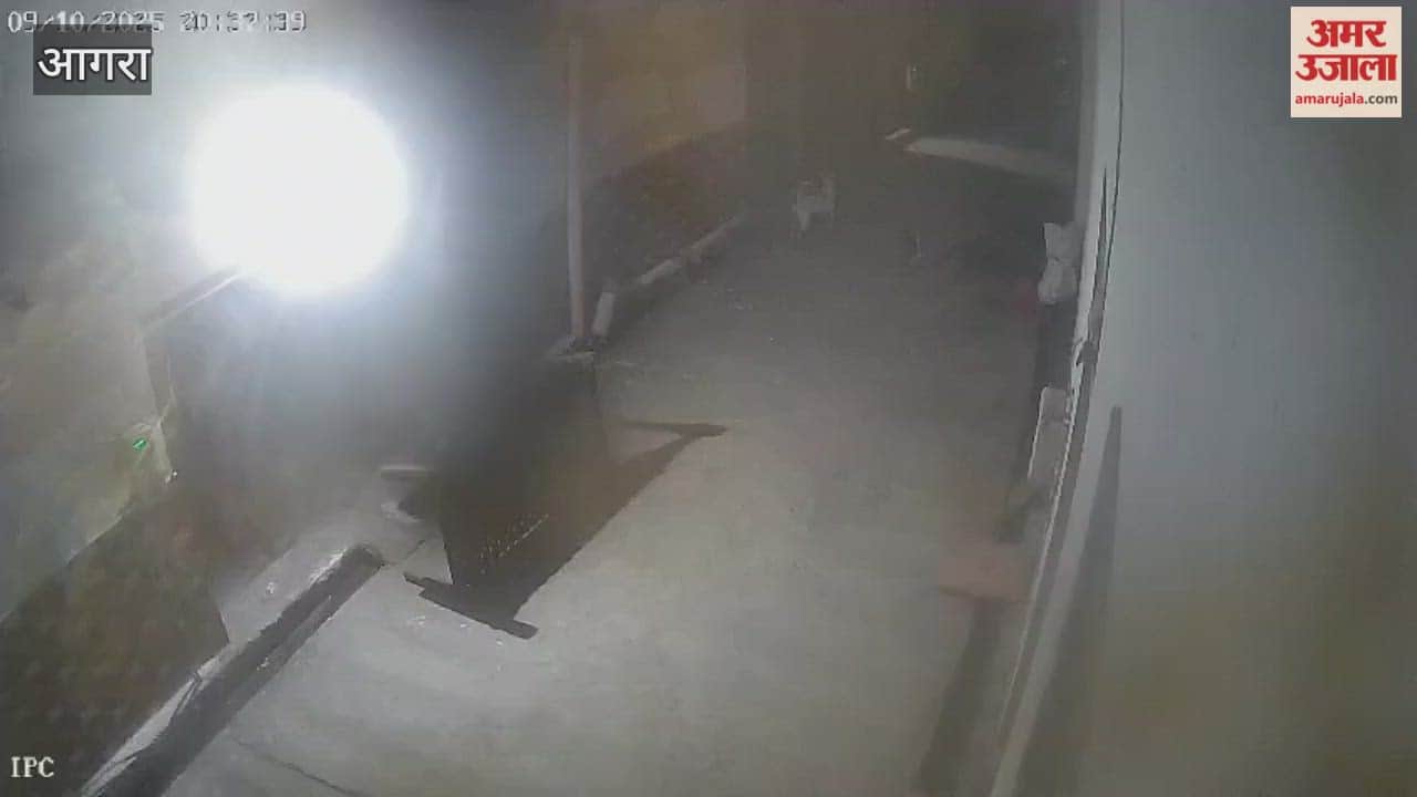 Beating dog to death with stick