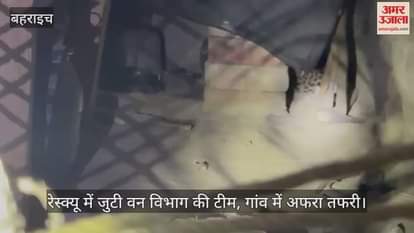 VIDEO: घर में घुसा तेंदुआ, रेस्क्यू में जुटी वन विभाग की टीम, गांव में अफरा तफरी