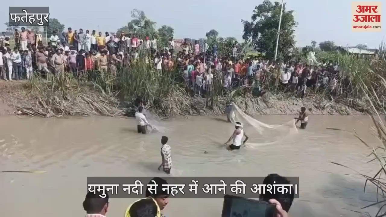 फतेहपुर: निचली गंगा नहर किनारे छह फीट का मगरमच्छ देख मचा हड़कंप