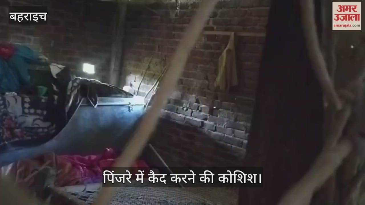 VIDEO: घर में घुसा तेंदुआ, पिंजरे में कैद करने की कोशिश, जाल लगाकर घेरा