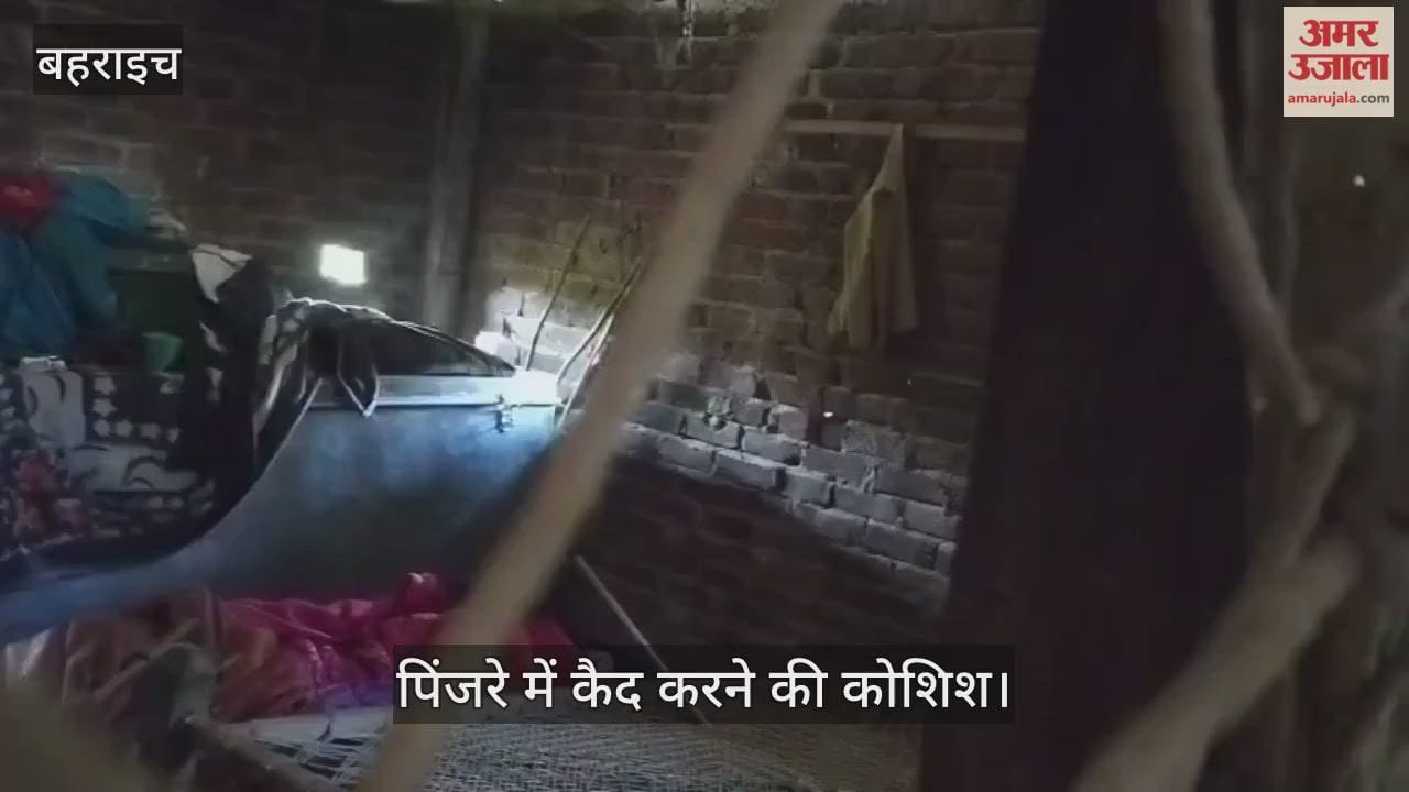 VIDEO: घर में घुसा तेंदुआ, पिंजरे में कैद करने की कोशिश, जाल लगाकर घेरा