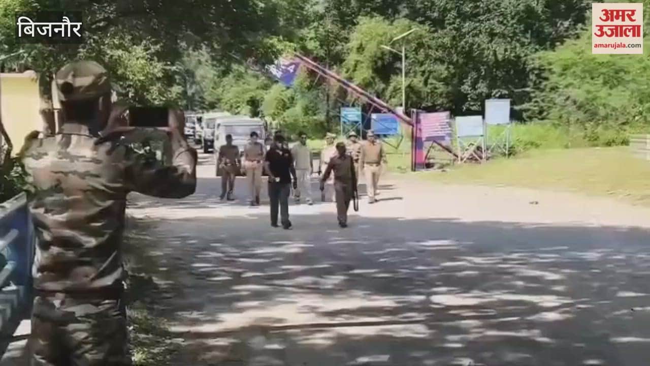 Bijnor: Call for protection of owls and tigers by taking out a flag march on Diwali, Forest Department team created awareness