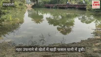 VIDEO: नहर उफनाने से खेतों में खड़ी फसल पानी में डूबी, कसान कर रहे पहरेदारी