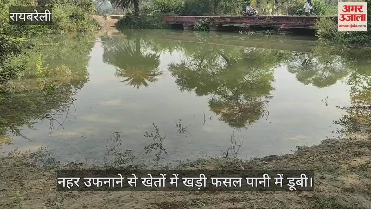 VIDEO: नहर उफनाने से खेतों में खड़ी फसल पानी में डूबी, कसान कर रहे पहरेदारी
