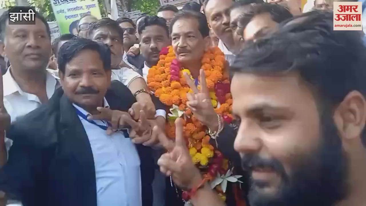Video: Pramod Shivhare wins Jhansi Bar Association President election, celebratory atmosphere in the court