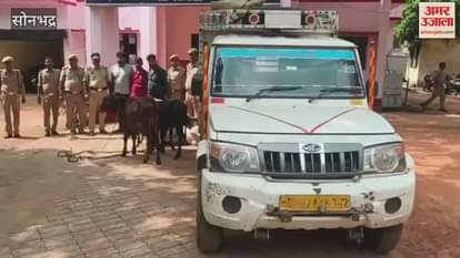 Three smugglers arrested six animals freed in sonbhadra