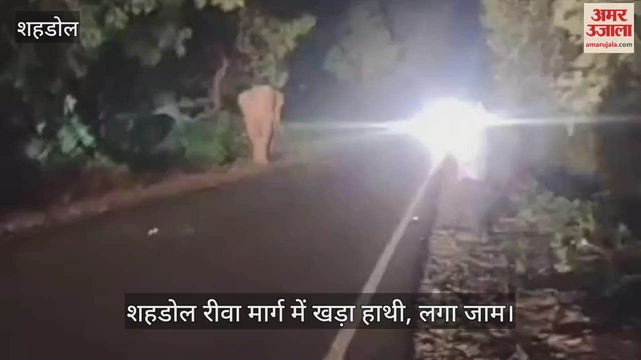 Then Gajraj came on Shahdol Rewa road, a long jam occurred.