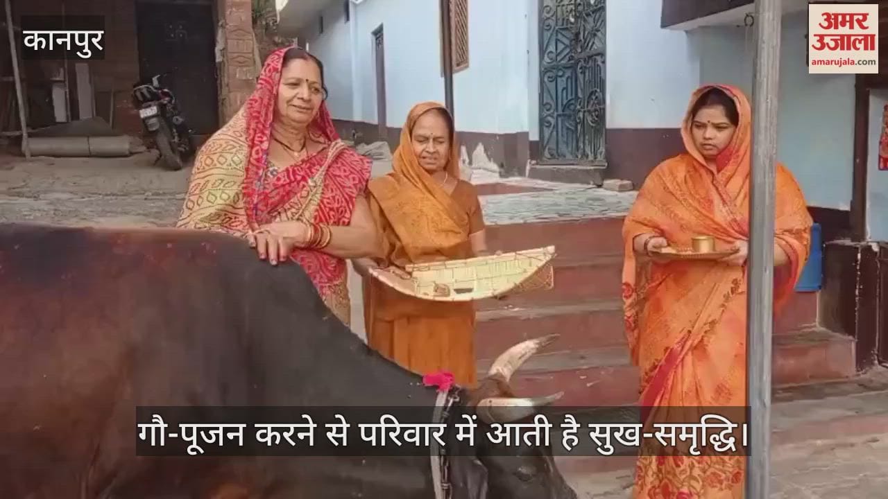 कानपुर: धनतेरस से पहले मंधना में गौ-पूजन की परंपरा, गाय की आरती उतारकर खिलाया गुड़-चना