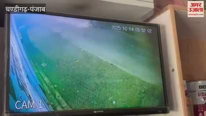 Firing at shop in Phagwara