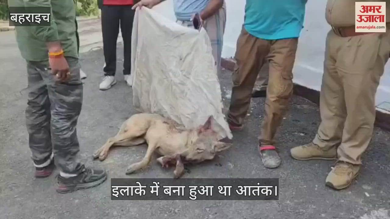 VIDEO: आदमखोर भेड़िए को वन विभाग ने किया शूट, गोली लगने से हुई मौत